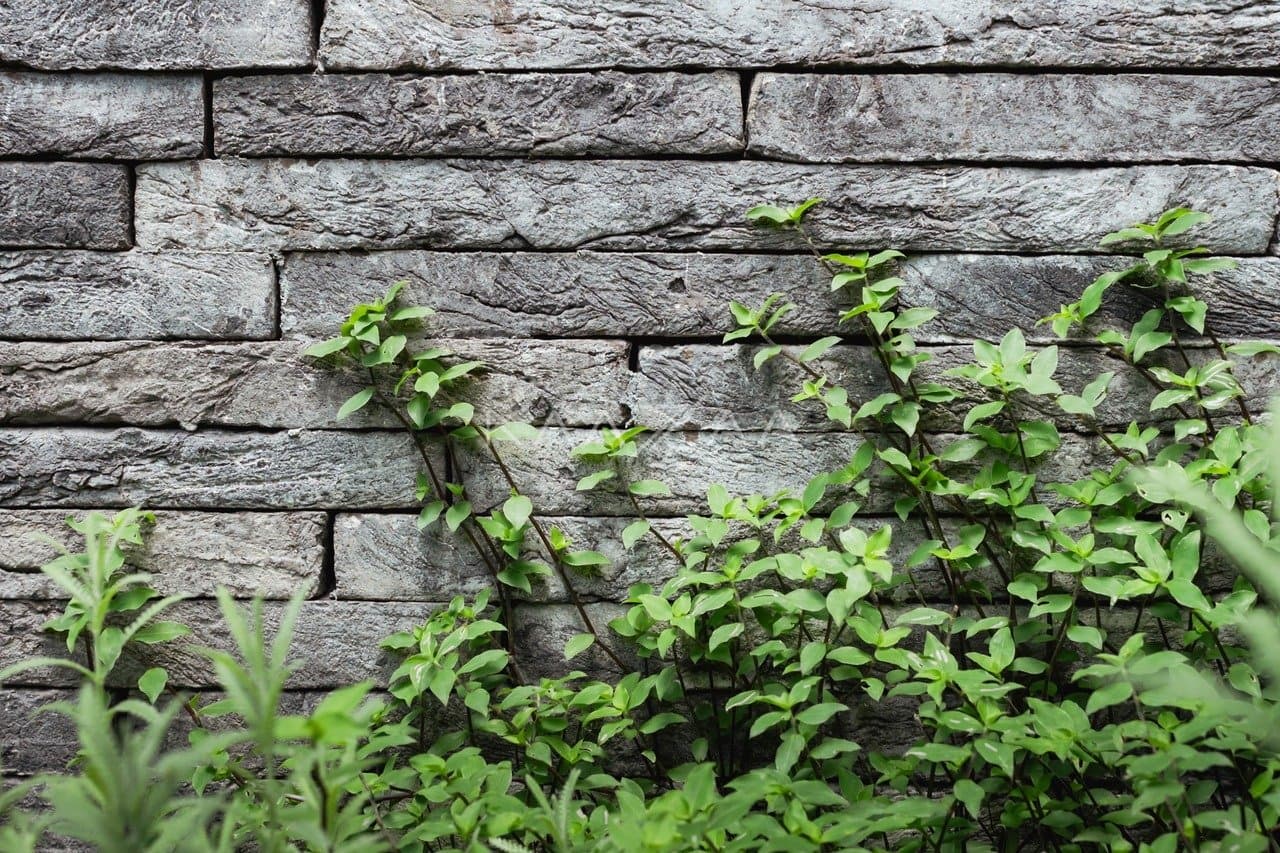 Residência com design singular no Jardim Paulistano. Nova e repleta de detalhes únicos. - Foto 37